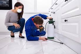 Best Bed Bug Extermination  in Cary, IL